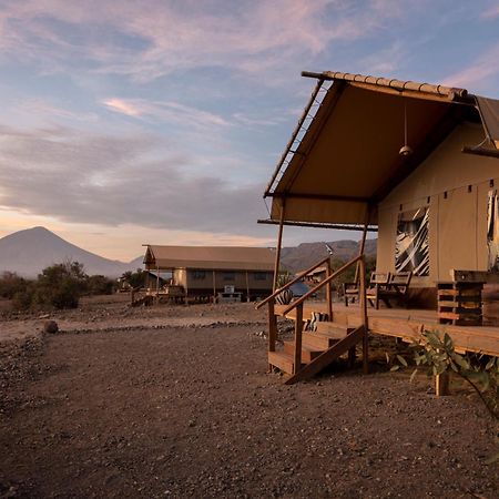 Africa Safari Lake Natron Mtowabaga Buitenkant foto