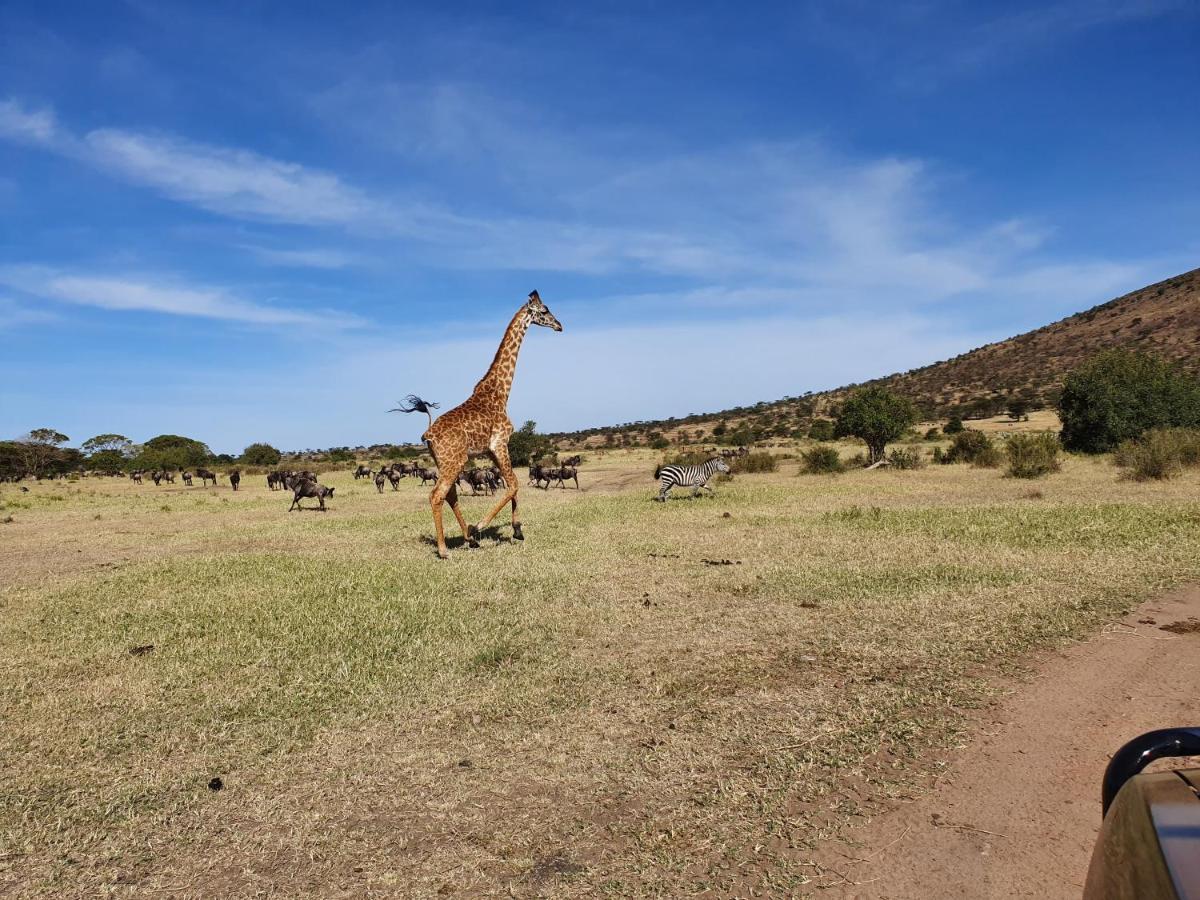 Africa Safari Lake Natron Mtowabaga Buitenkant foto