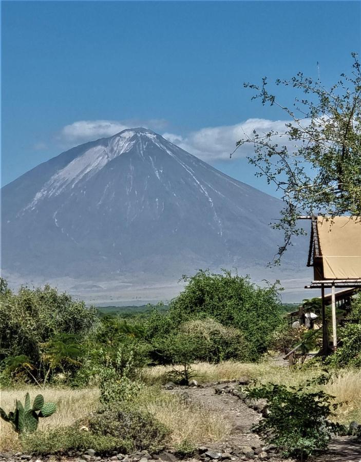 Africa Safari Lake Natron Mtowabaga Buitenkant foto